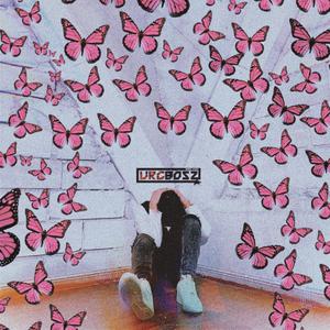 麻豆视传媒短视频免费网站在线看
