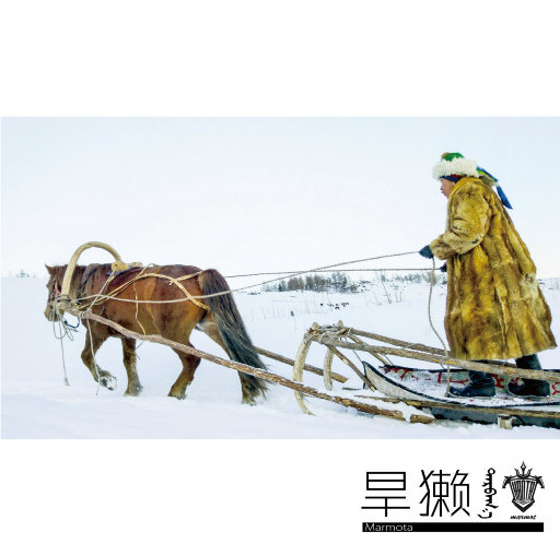 麻豆视传媒短视频免费网站在线看
